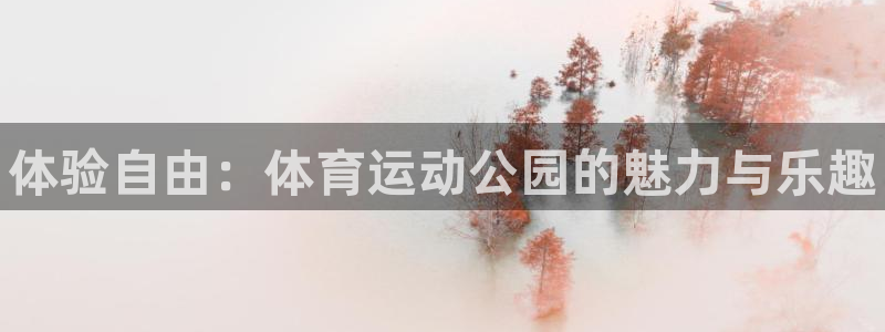 MK体育官网下载开户：体验自由：体育运动公园的魅力与乐趣