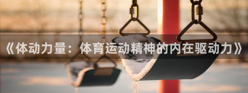MK体育官网下载官方客服电话：《体动力量：体育运动精