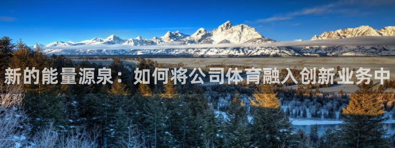 MK体育官网下载平台注册流程图：新的能量源泉：如何将