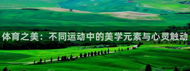 MK体育官方正版app集团官网网址：体育之美：不同运