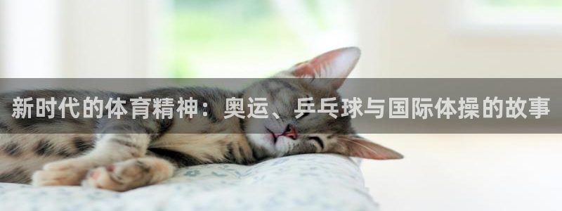 MK体育官方正版app科技：新时代的体育精神：奥运、乒乓球与