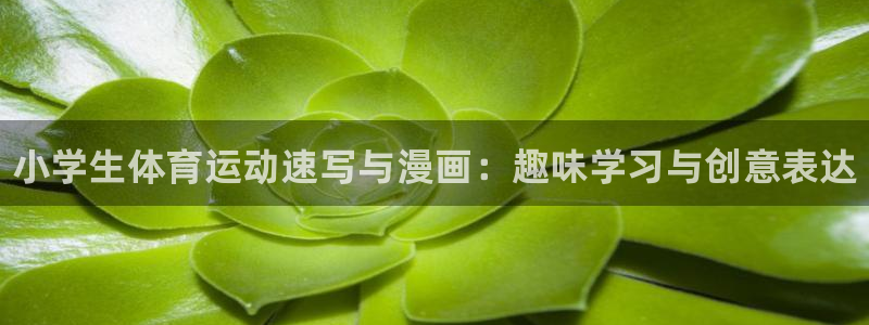 MK体育官网下载平台APP：小学生体育运动速写与漫画：趣味学