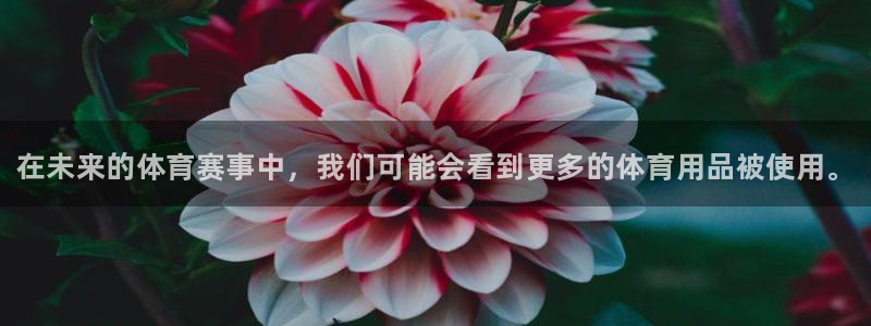 MK体育官网下载平台是正规平台吗：在未来的体育赛事中，我们可