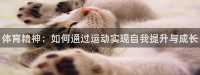 MK体育官方正版app娱乐网站：体育精神：如何通过运