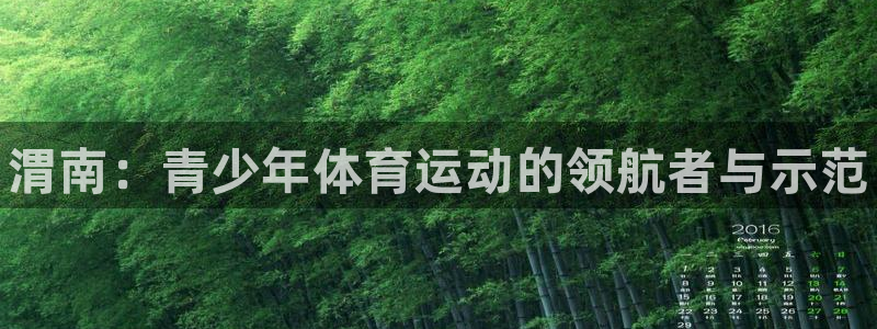 MK体育官方正版app集团logo：渭南：青少年体育