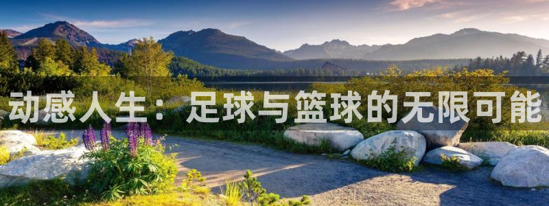 MK体育官网下载招商电话号码是多少啊
