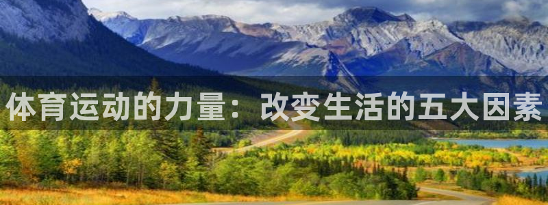 MK体育官网下载平台是正规平台吗知乎：体育运动的力量