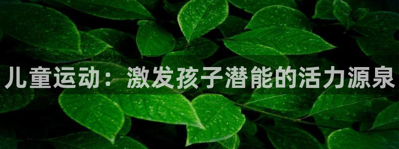 MK体育官方正版app新能源