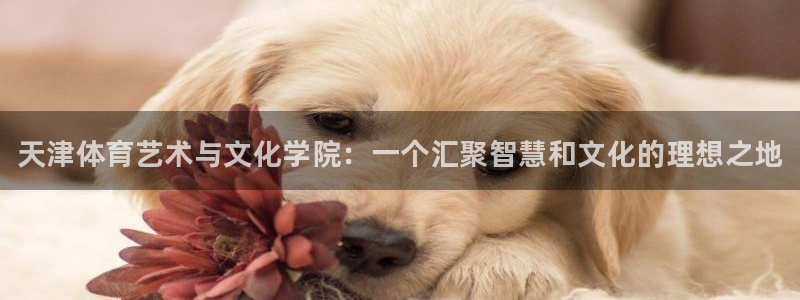 海南MK体育官网下载：天津体育艺术与文化学院：一个汇
