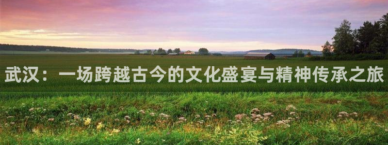 MK体育官方正版app五金厂：武汉：一场跨越古今的文