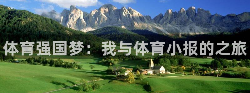 MK体育官方正版app集团简介