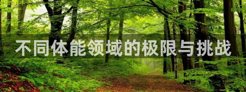 MK体育官方正版app集团简介