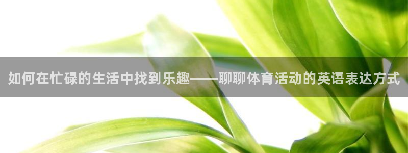 海南MK体育官网下载：如何在忙碌的生活中找到乐趣——聊聊体育