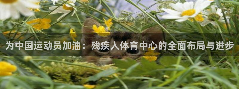 MK体育官网下载是干嘛的公司：为中国运动员加油：残疾人体育中