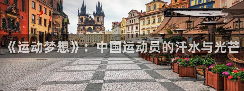 MK体育官网下载招商电话号码查询