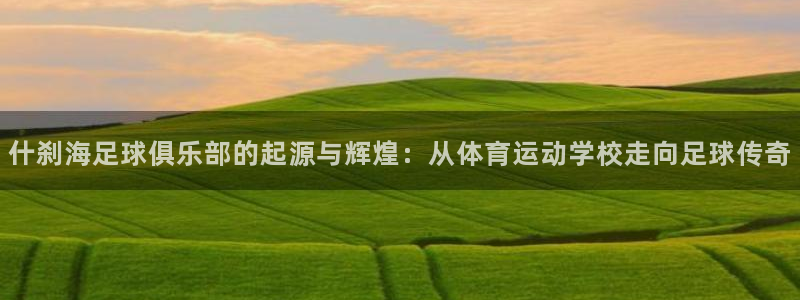 MK体育官网下载招商电话是多少号码