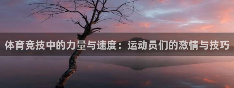 MK体育官方正版app神州