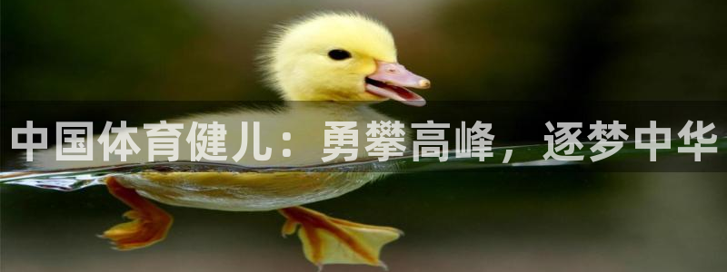 MK体育官方正版app娱乐