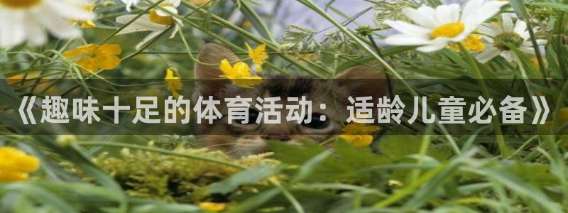 MK体育官网下载招商电话号码是多少号：《趣味十足的体