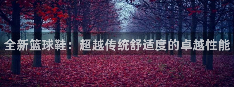 MK体育官方正版app娱乐是那个系列的台子：全新篮球