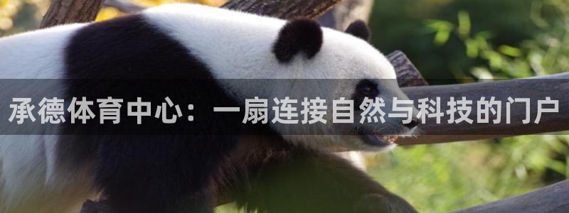 MK体育官网下载招商电话是多少啊