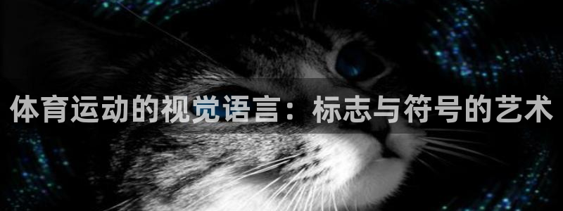 MK体育官方正版app集团官网首页网址：体育运动的视觉语言：