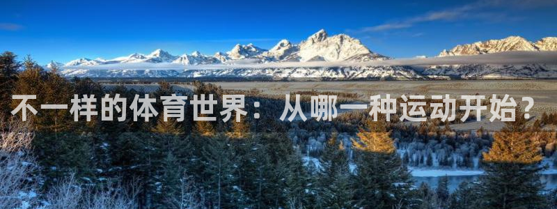 MK体育官网下载平台假的吗是真的吗：不一样的体育世界