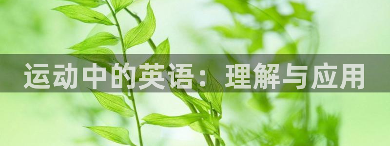 MK体育官网下载招商电话是多少啊：运动中的英语：理解