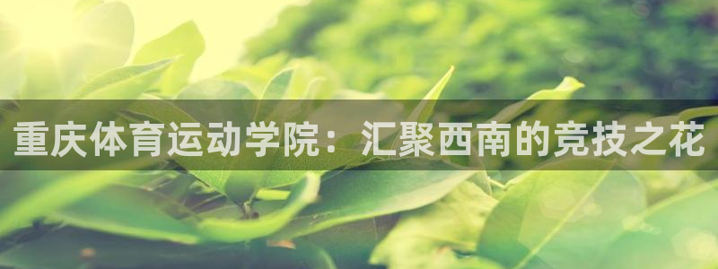 MK体育官网下载招商电话地址查询