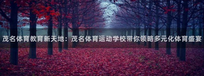 海南MK体育官网下载发展怎么样：茂名体育教育新天地：