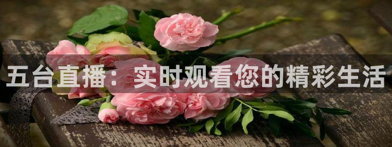龙门nba直播：五台直播：实时观看您的精彩生活
